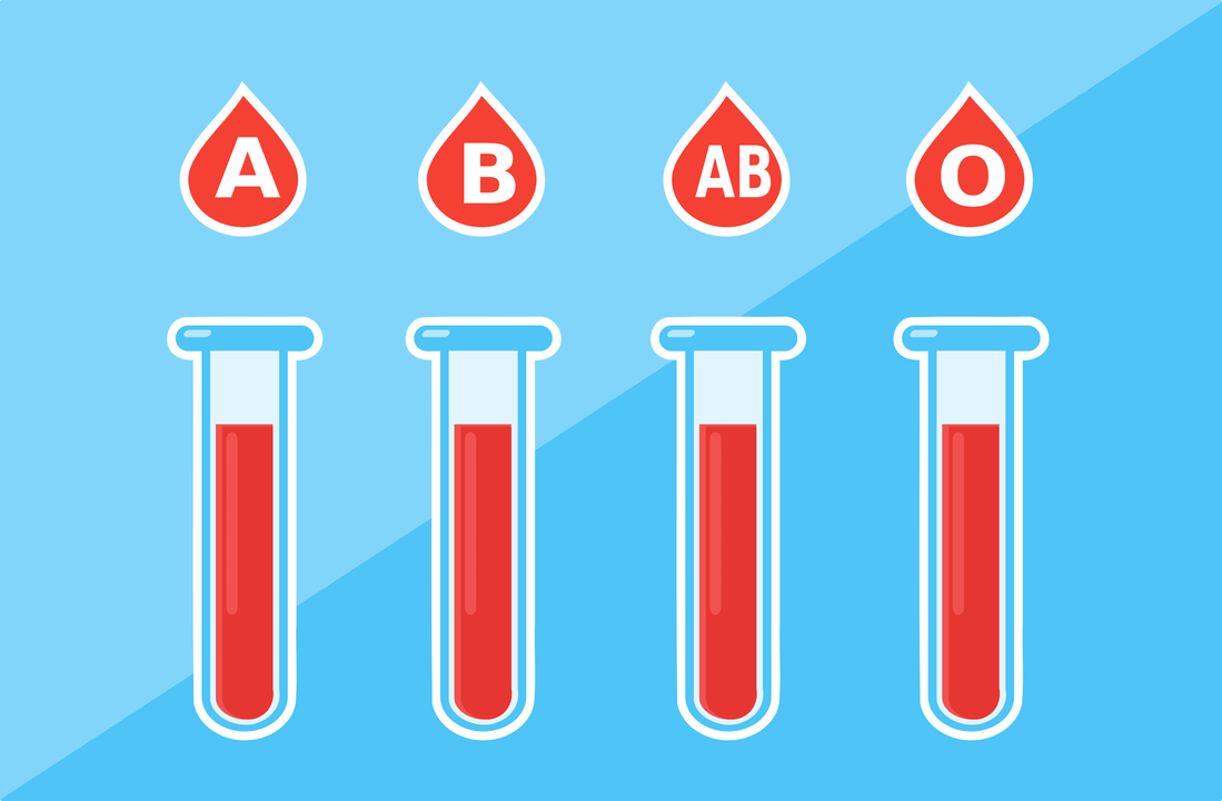 There are 4 blood types A, B, AB, O